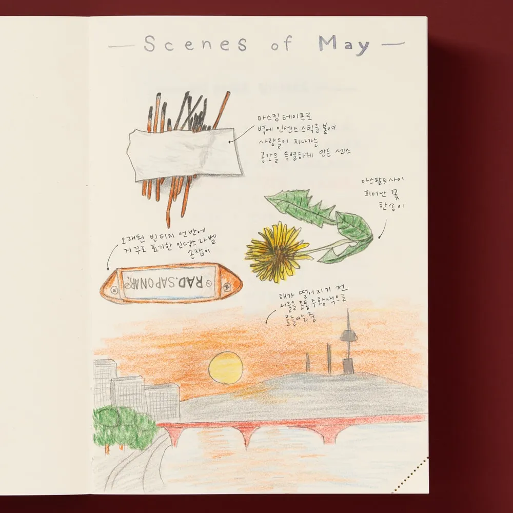 미도리 엠디노트 코덱스 저널 하루 한 페이지 Midori MD Notebook Codex Journal L A5 사이즈 1 day 1 page - 자유로운 그림, 스케치, 글 등을 적을 수 있는 blank 무지 내지